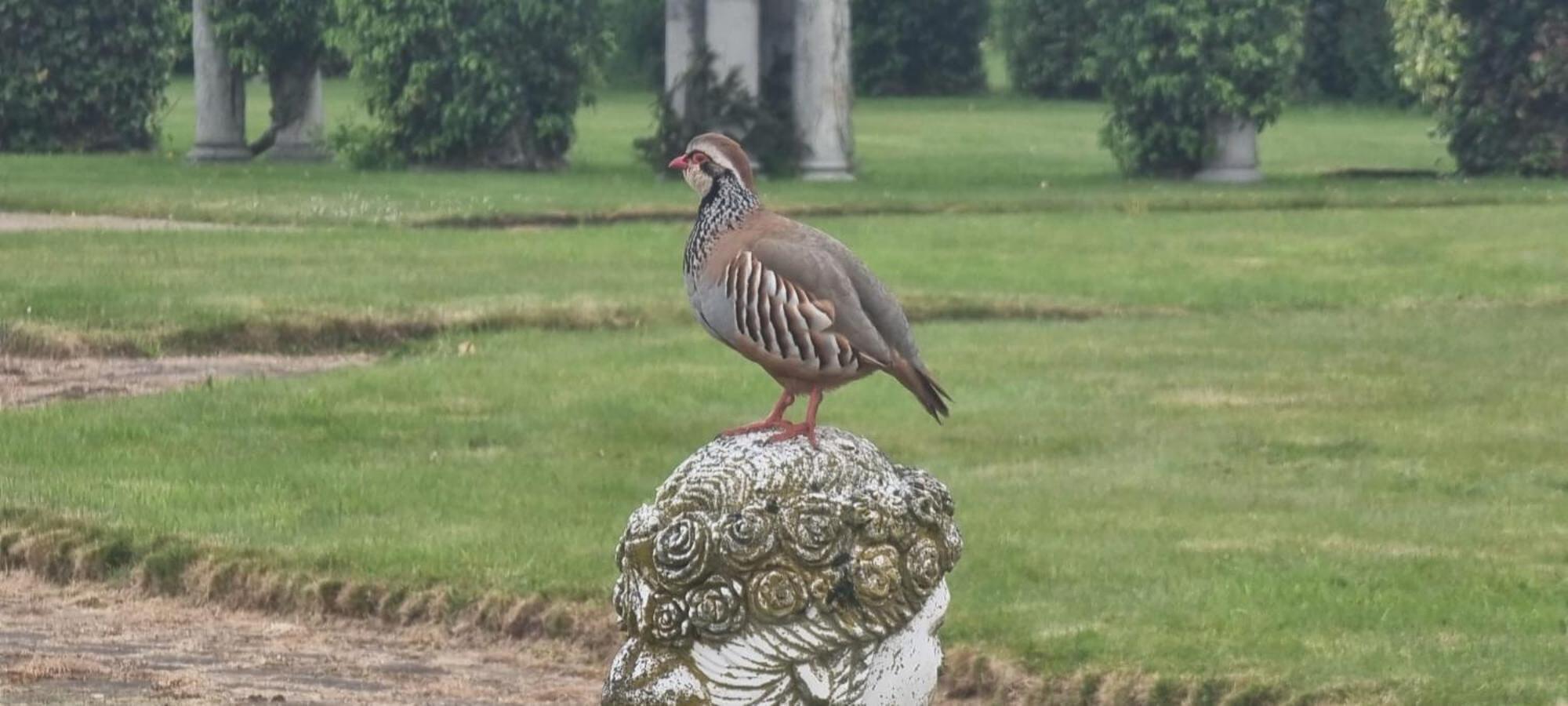 Thornton Manor - Holiday Cottages And Apartments Heswall Rom bilde